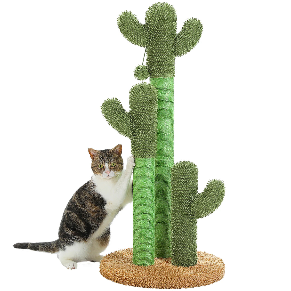 Cactus Cat Tree Small Cat Tower with Spacious Condo,Cozy Hammock,Dangling Ball,Scratching Post Cat Accessories for Indoor Cats Whispering Desires Shoppe