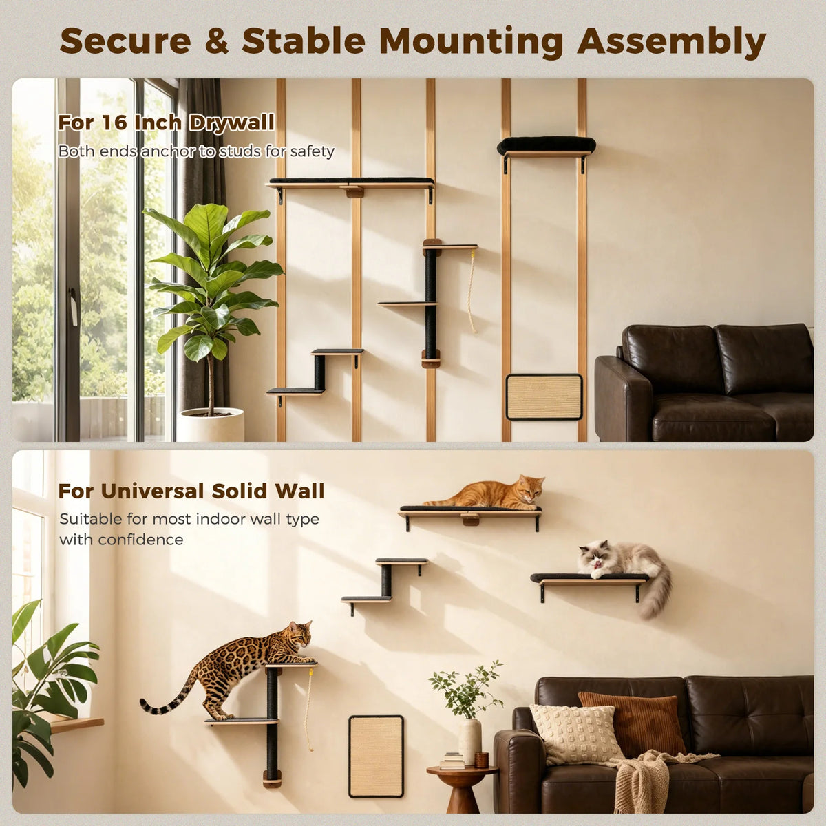 PAWZ Road Five-in-One Wall-Mounted Cat Climbing Set