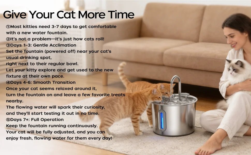 Cat Water Fountain Stainless Steel: 74oz/2.2L Cat Fountain for Drinking Pet Water Fountain for Cats Inside - Quiet Cats Water Bowl Dispenser - Kitty Drinking Fountains - for Pets& Small Animals Whispering Desires Shoppe