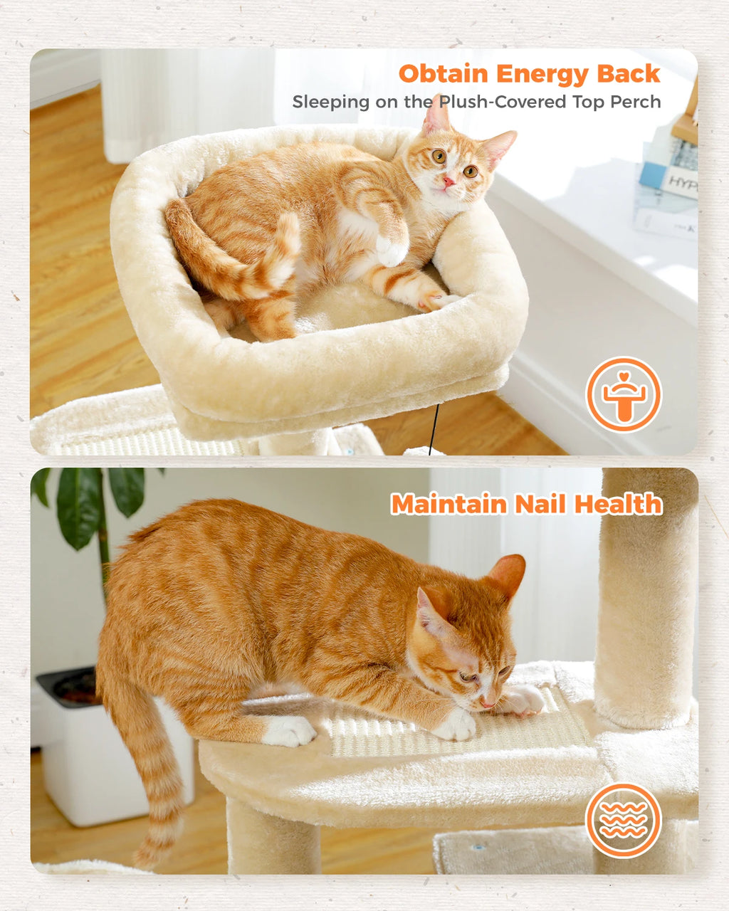 Compact Cat Tree with Removable Perch & Hammock