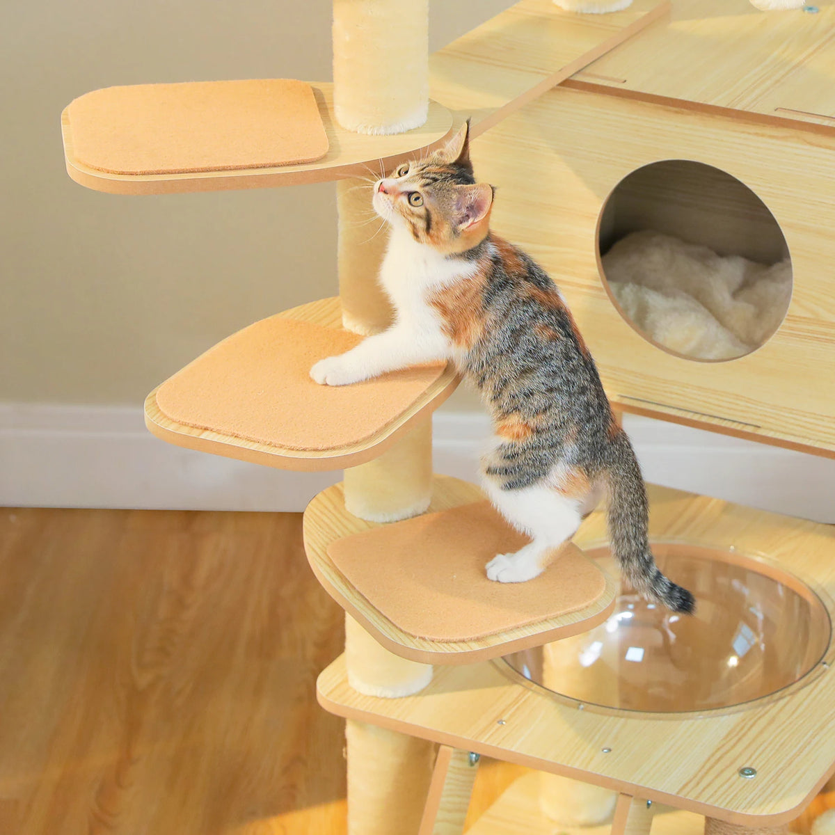 Multi-Level Wooden Cat Tree with Condo & Hammock
