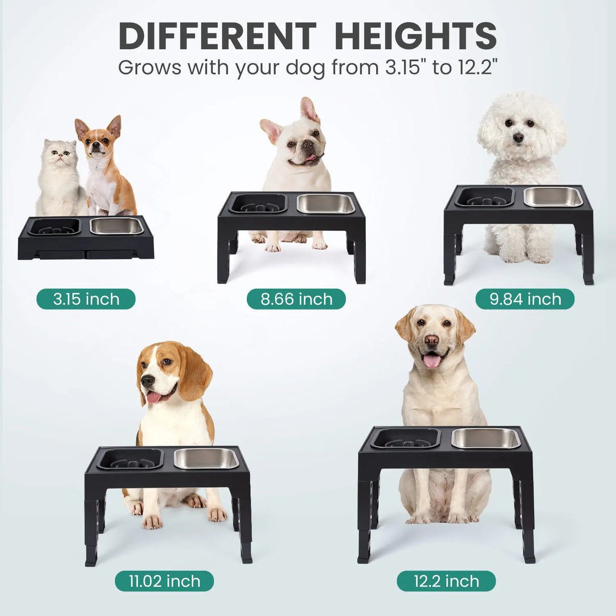 Adjustable Elevated Slow Feeder & Water Bowl Stand
