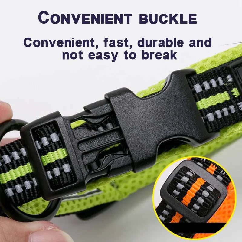 Winhyepet Padded Nylon Dog Collar
