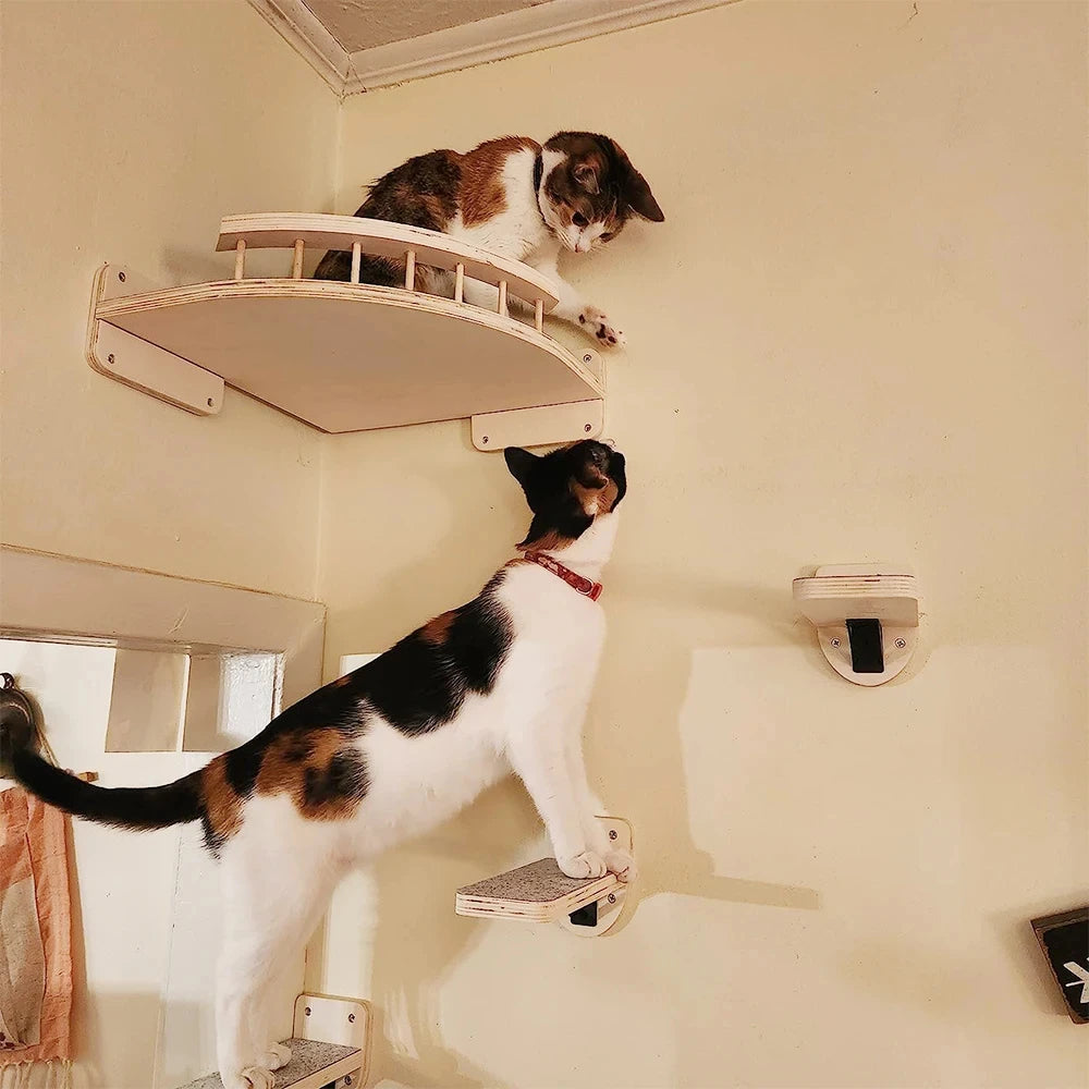 Wall-Mounted Four-Step Cat Climbing Shelf