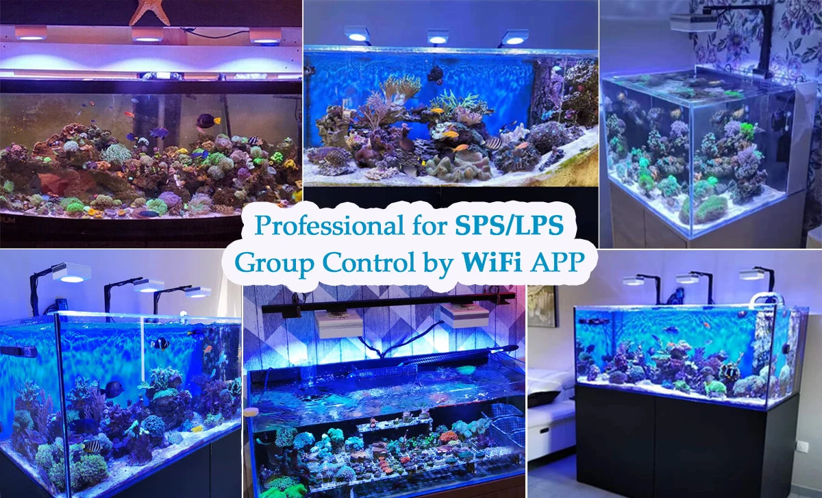 PopBloom RL90 WiFi Reef Aquarium LED Light