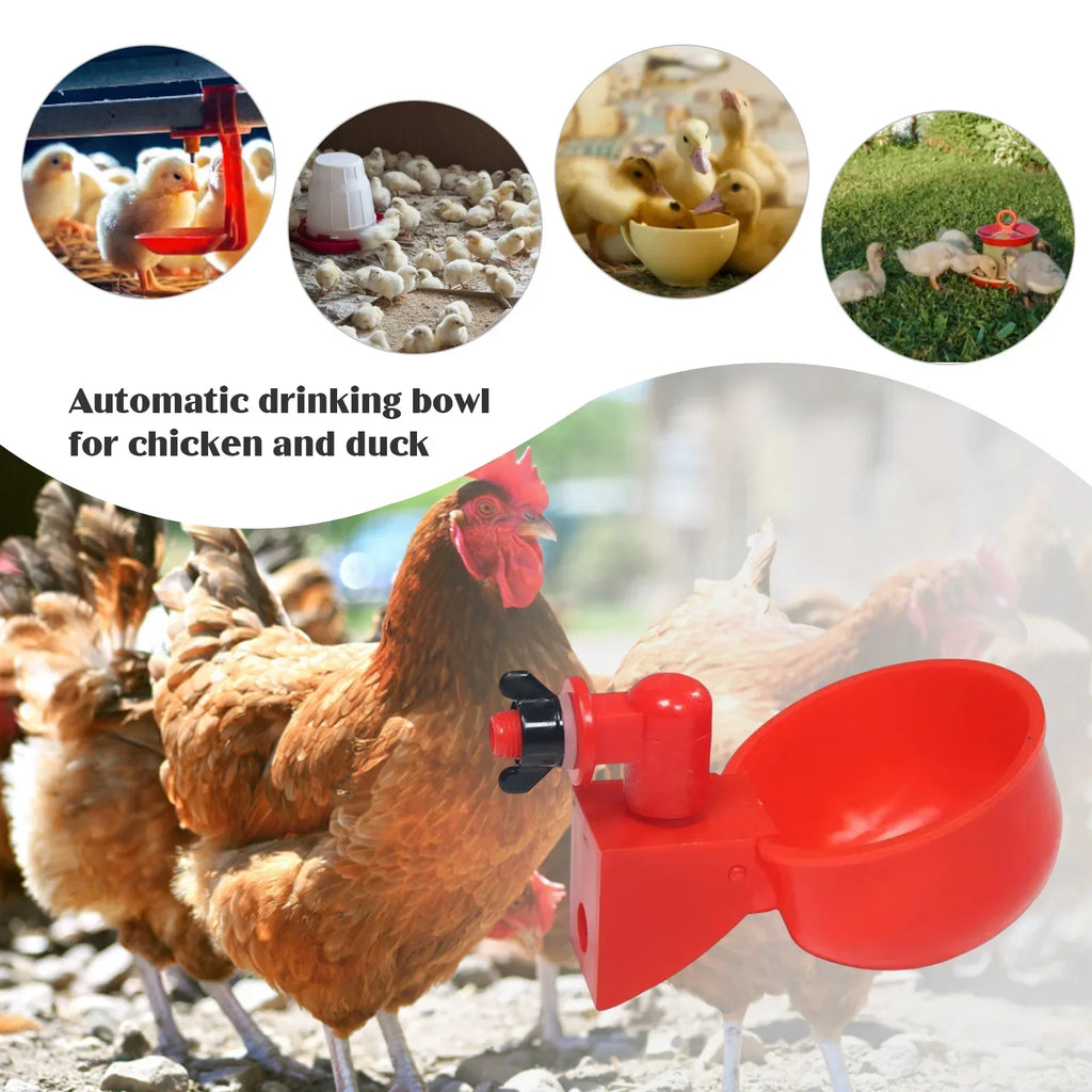 Automatic Poultry Drinking Cup for Chickens & Ducks