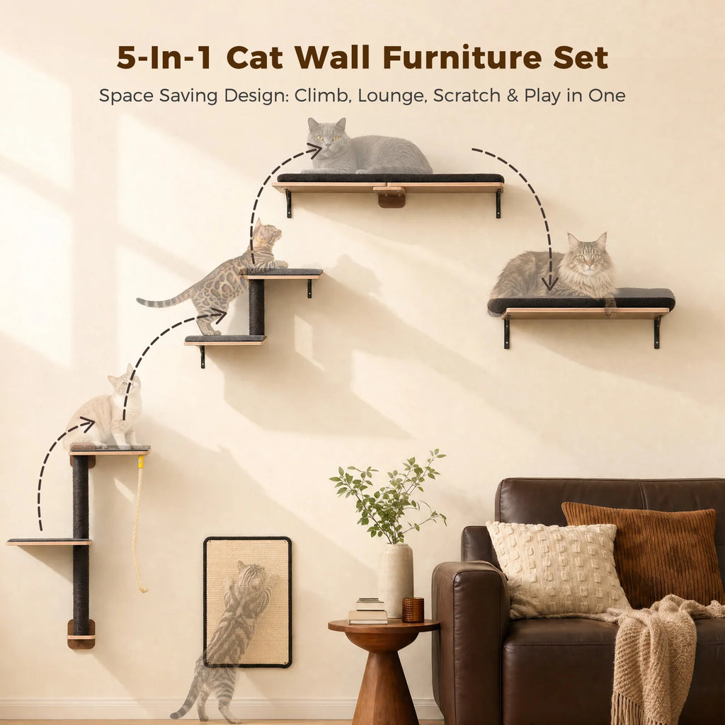 PAWZ Road Five-in-One Wall-Mounted Cat Climbing Set