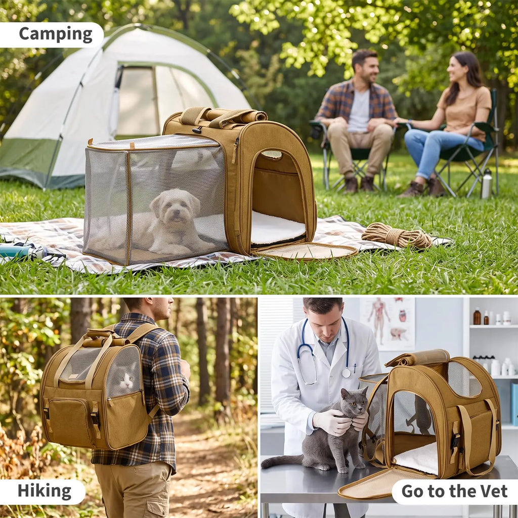 Expandable Mesh Pet Carrier Backpack