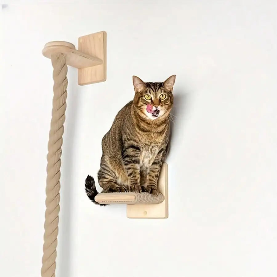 Wall-Mounted Sisal Cat Scratching Rope