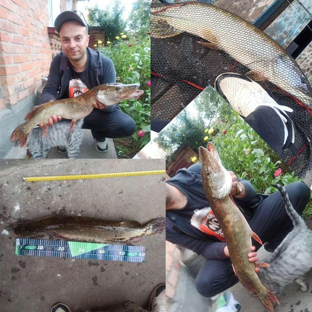 BIUTIFU BIGFISH Carbon Carp Rod