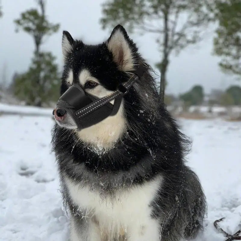 Large Dog Muzzle Adjustable Straps Breathable Soft Muzzle For Dog Biting Prevention Anti-Chaos Large Pet Anti-barking Muzzle Whispering Desires Shoppe