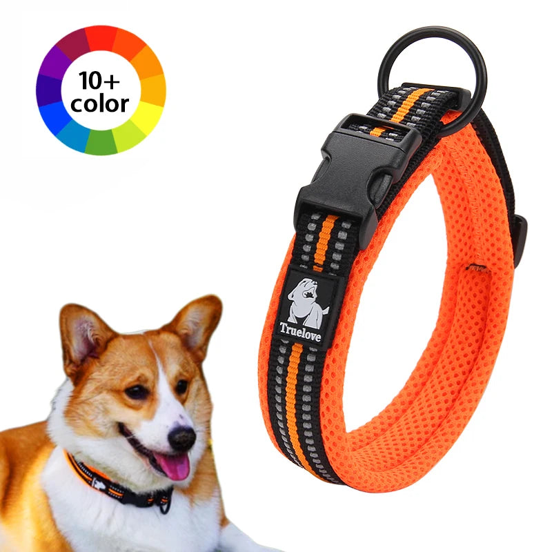 Winhyepet Padded Nylon Dog Collar