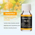 Car Fragrance Diffuser Refill Oil