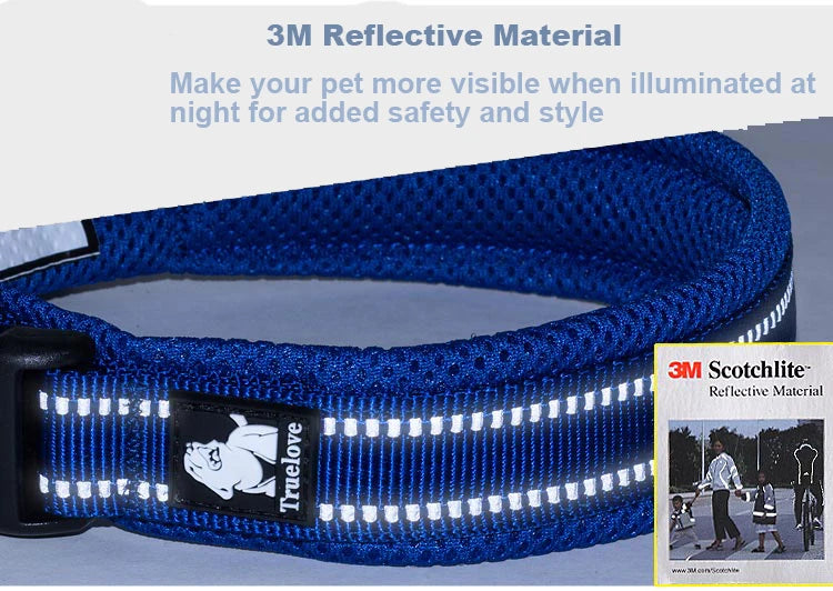 Winhyepet Padded Nylon Dog Collar