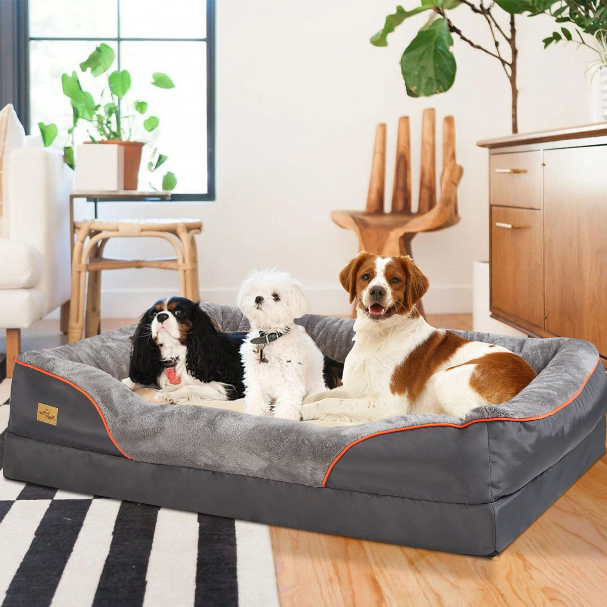 BINGOPAW Foam Dog Bed with Removable Cover