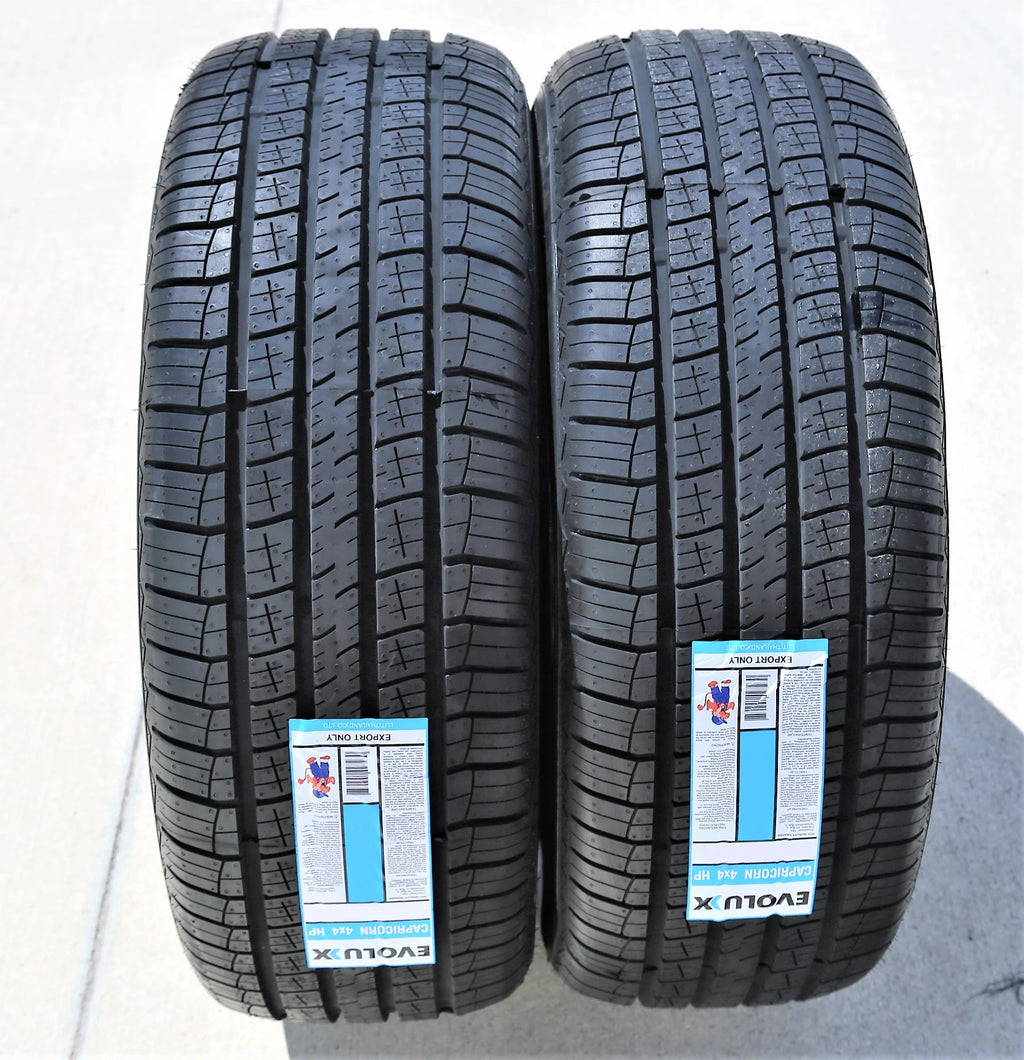 Evoluxx Capricorn 4X4 HP 215/60R17 96H Tire