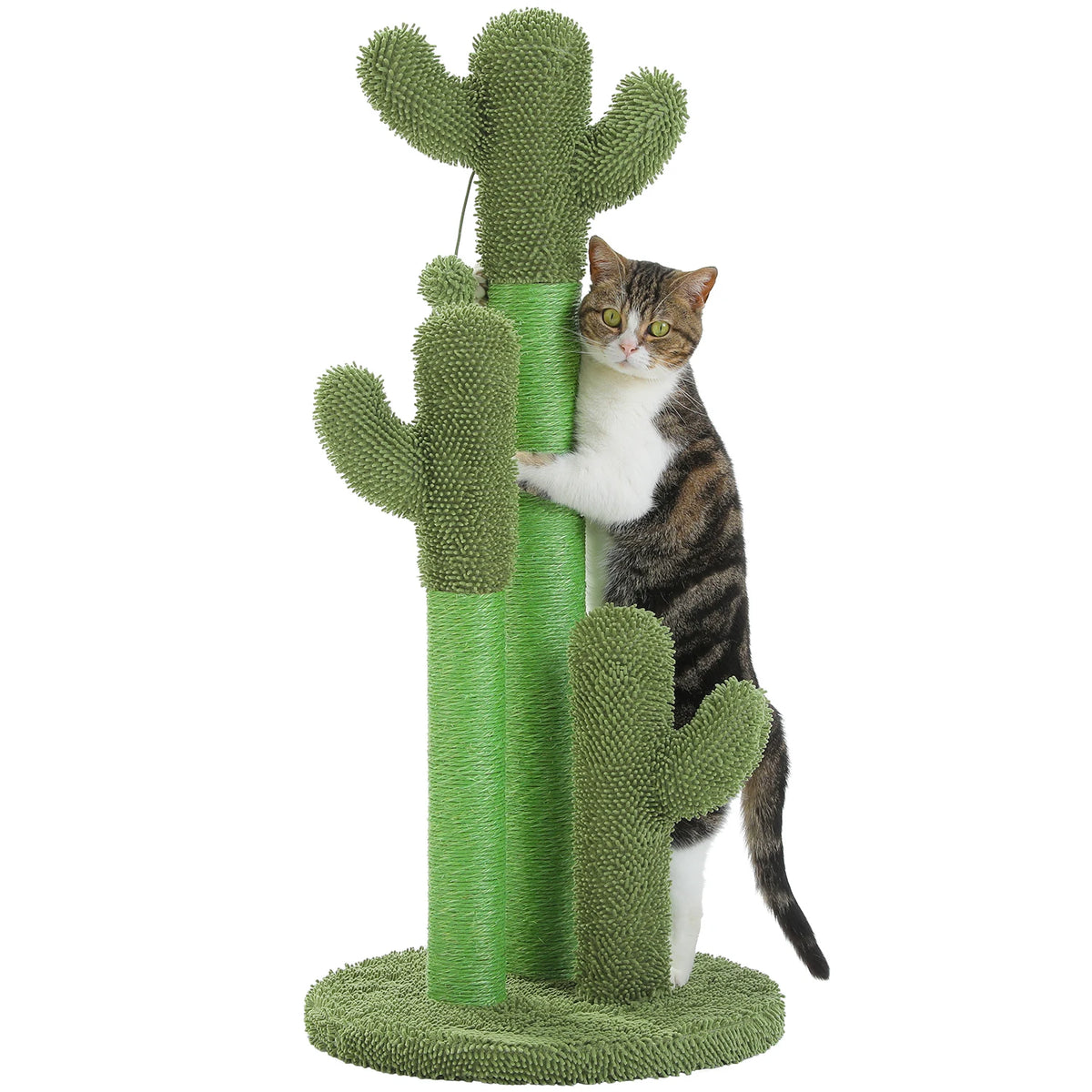 Cactus Cat Tree Small Cat Tower with Spacious Condo,Cozy Hammock,Dangling Ball,Scratching Post Cat Accessories for Indoor Cats Whispering Desires Shoppe