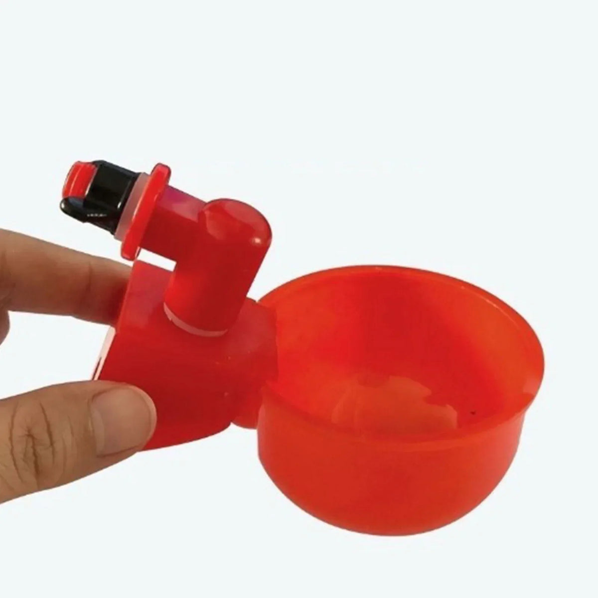 Automatic Poultry Drinking Cup for Chickens & Ducks