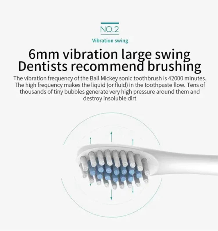 Rechargeable Electric Toothbrush with 4 Brush Heads