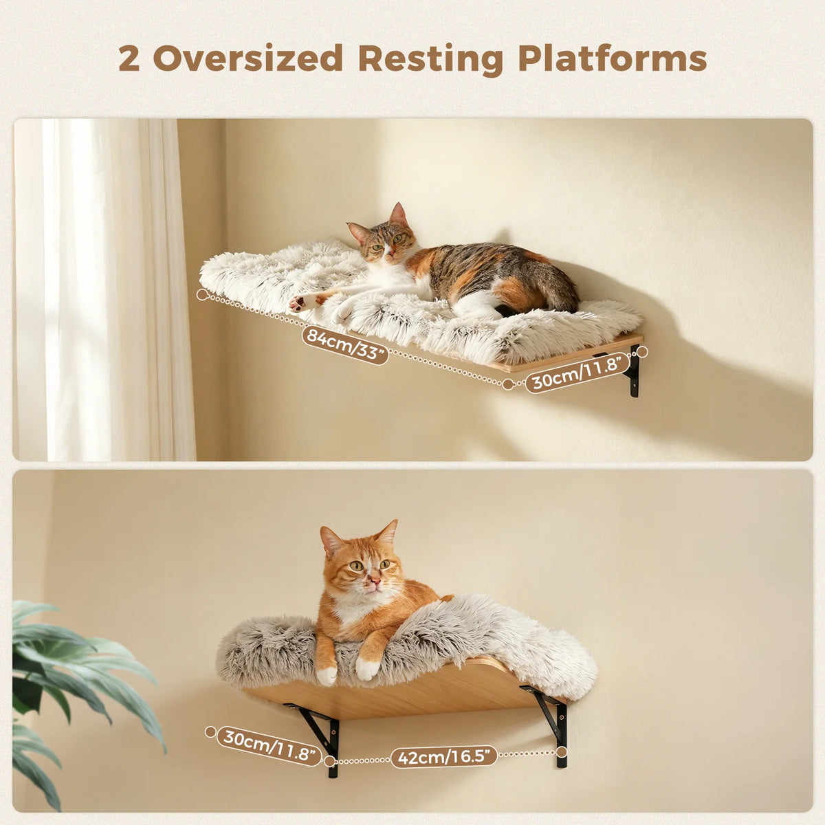 PAWZ Road Five-in-One Wall-Mounted Cat Climbing Set