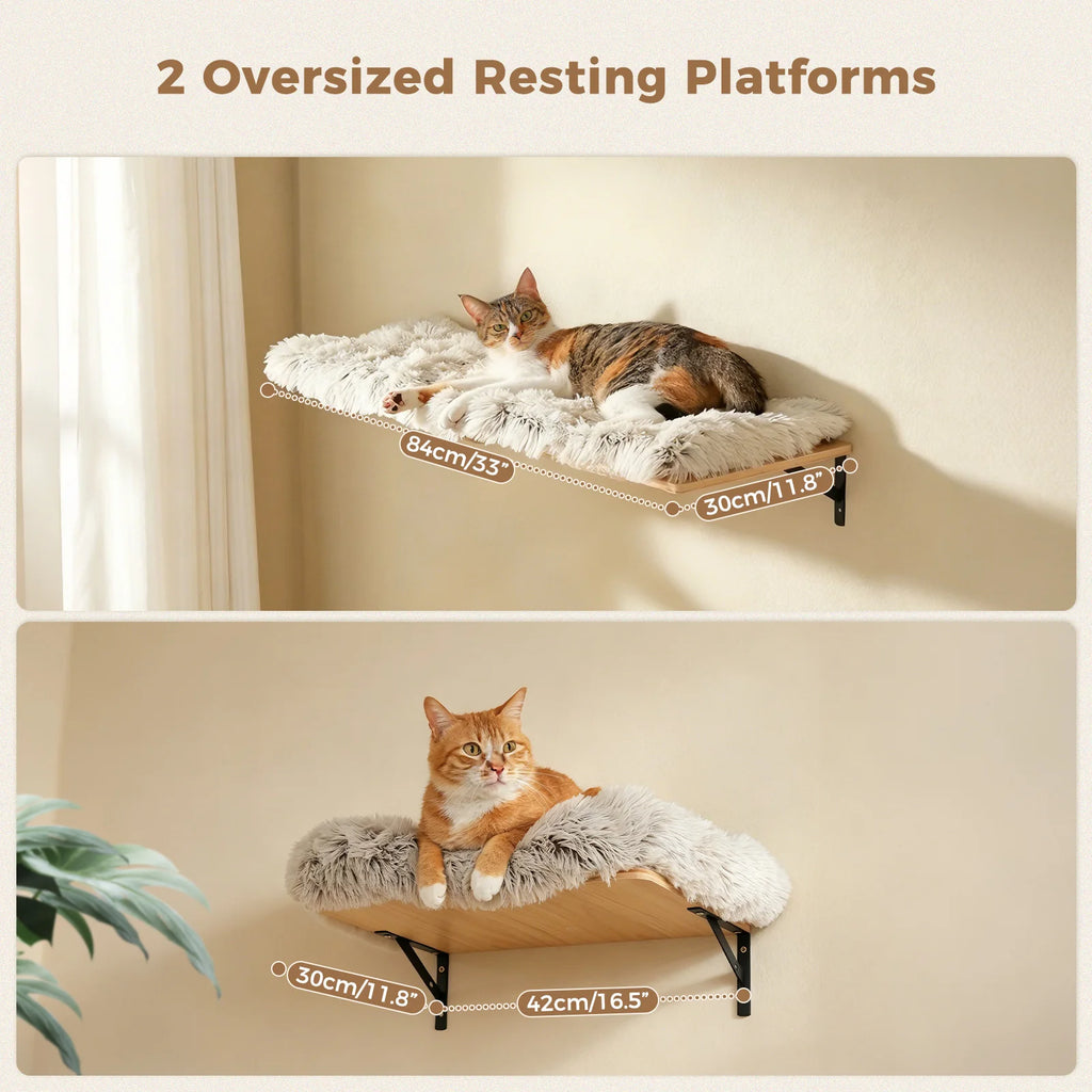 PAWZ Road Five-in-One Wall-Mounted Cat Climbing Set