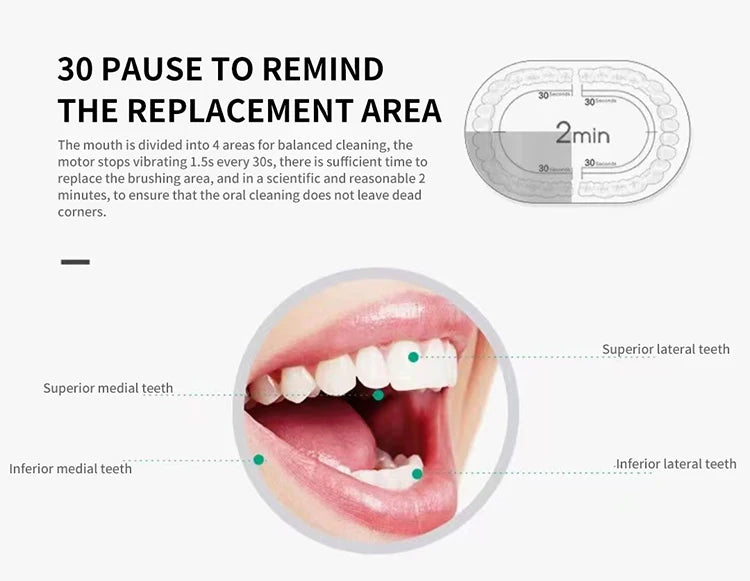 Rechargeable Electric Toothbrush with 4 Brush Heads