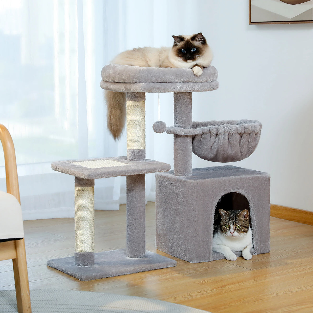 Compact Cat Tree with Removable Perch & Hammock