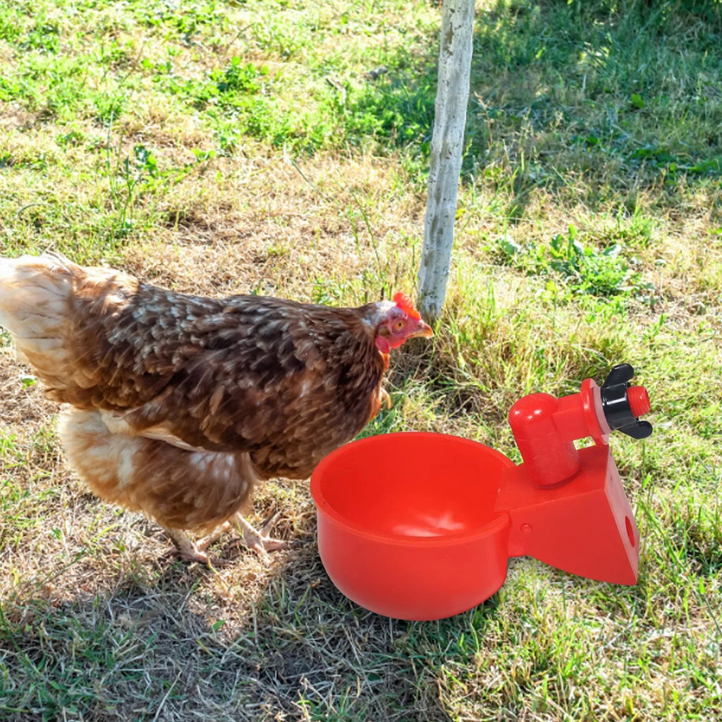 Automatic Poultry Drinking Cup for Chickens & Ducks