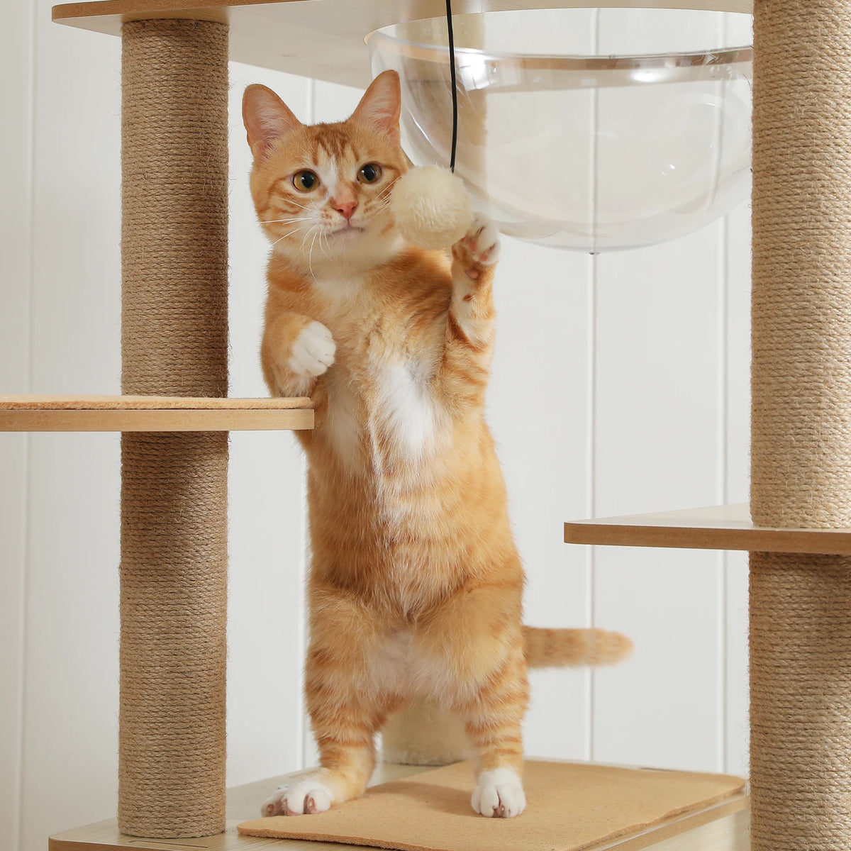 Multi-Level Wooden Cat Tree with Condo & Hammock
