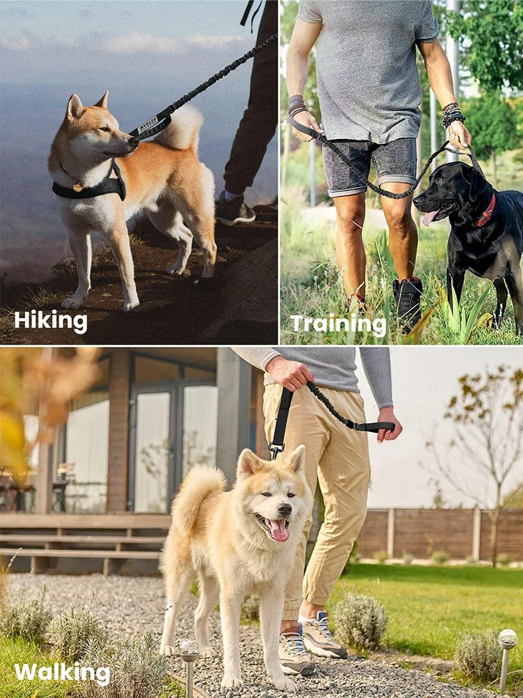 PETRAVEL Adjustable Nylon Dog Leash with Two Handles
