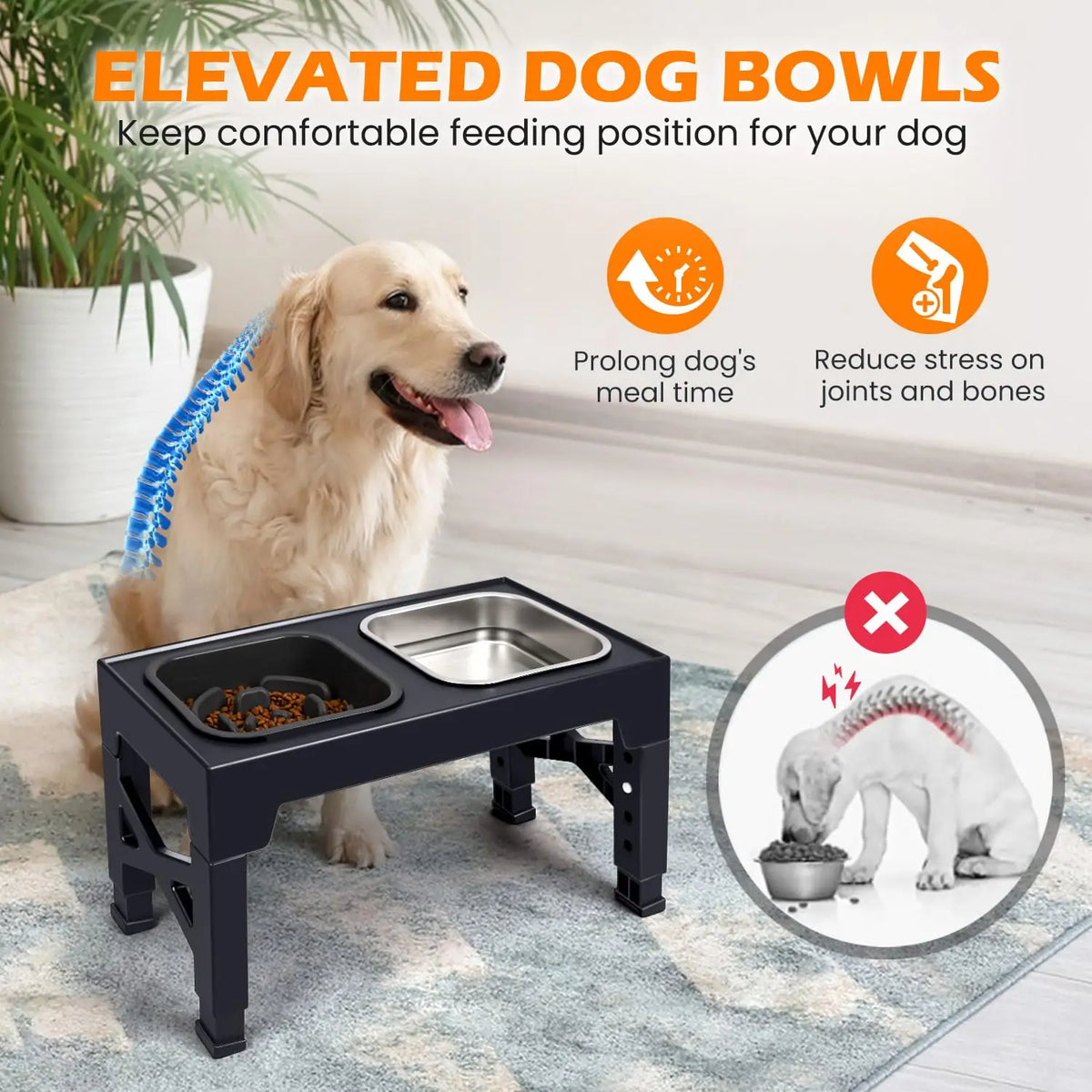 Adjustable Elevated Slow Feeder & Water Bowl Stand