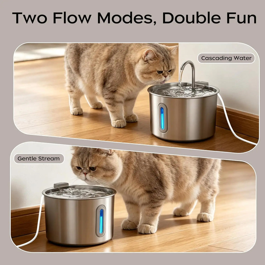 Cat Water Fountain Stainless Steel: 74oz/2.2L Cat Fountain for Drinking Pet Water Fountain for Cats Inside - Quiet Cats Water Bowl Dispenser - Kitty Drinking Fountains - for Pets& Small Animals Whispering Desires Shoppe