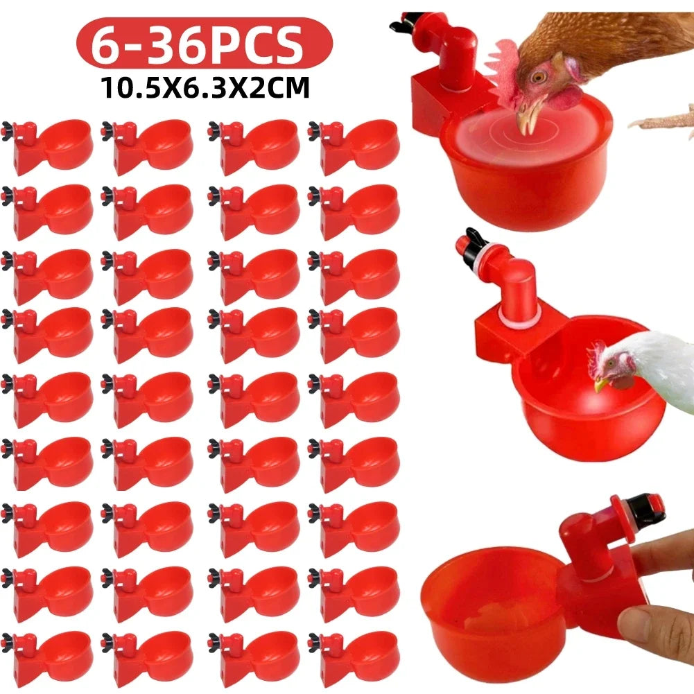 Automatic Poultry Drinking Cup for Chickens & Ducks