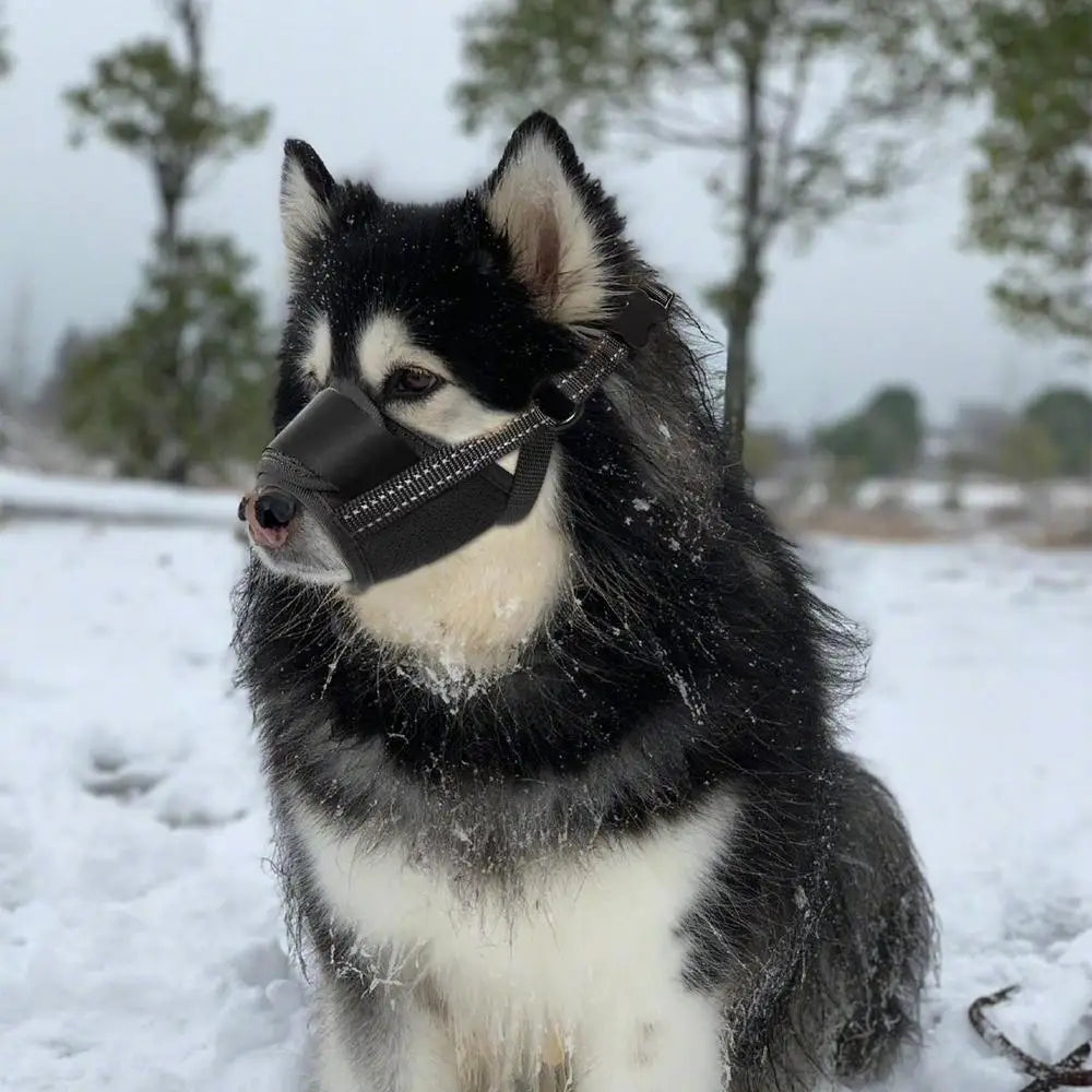 Large Dog Muzzle Adjustable Straps Breathable Soft Muzzle For Dog Biting Prevention Anti-Chaos Large Pet Anti-barking Muzzle Whispering Desires Shoppe