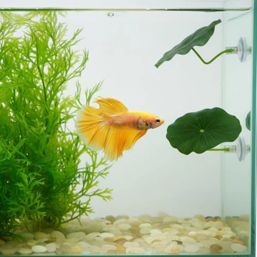 3 Pcs Betta Fish Leaf Hammock for Aquarium Decoration, Green Plastic Resting Spot with Suction Cup, Practical Breeding and Rest Whispering Desires Shoppe