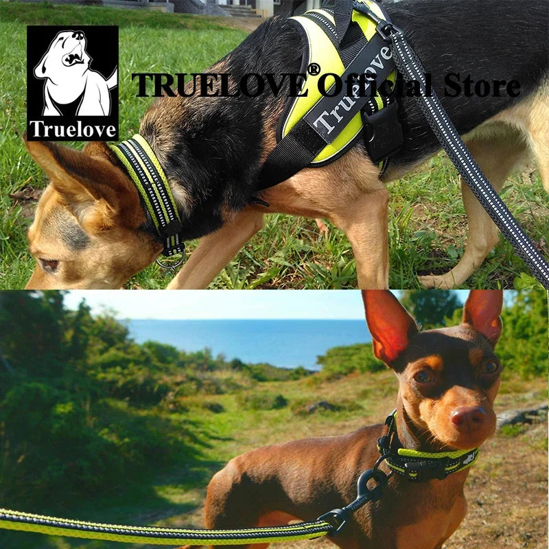 TRUELOVE Reflective Nylon Dog Collar TLC5011