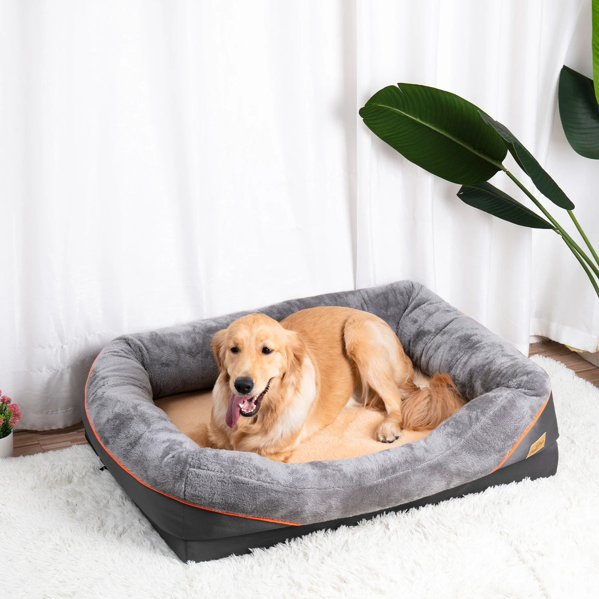 BINGOPAW Foam Dog Bed with Removable Cover