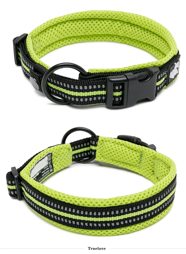 Winhyepet Padded Nylon Dog Collar
