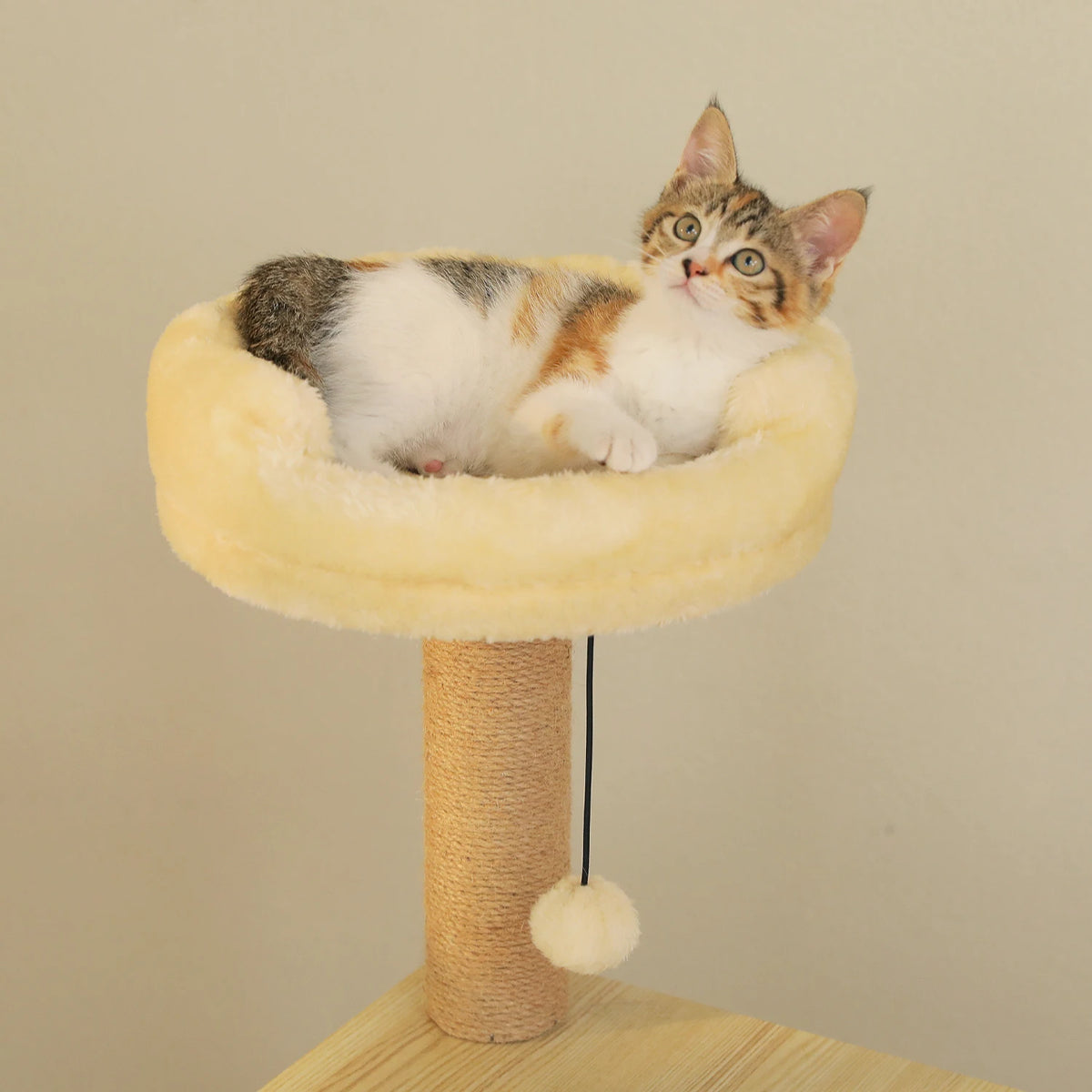 Multi-Level Wooden Cat Tree with Condo & Hammock