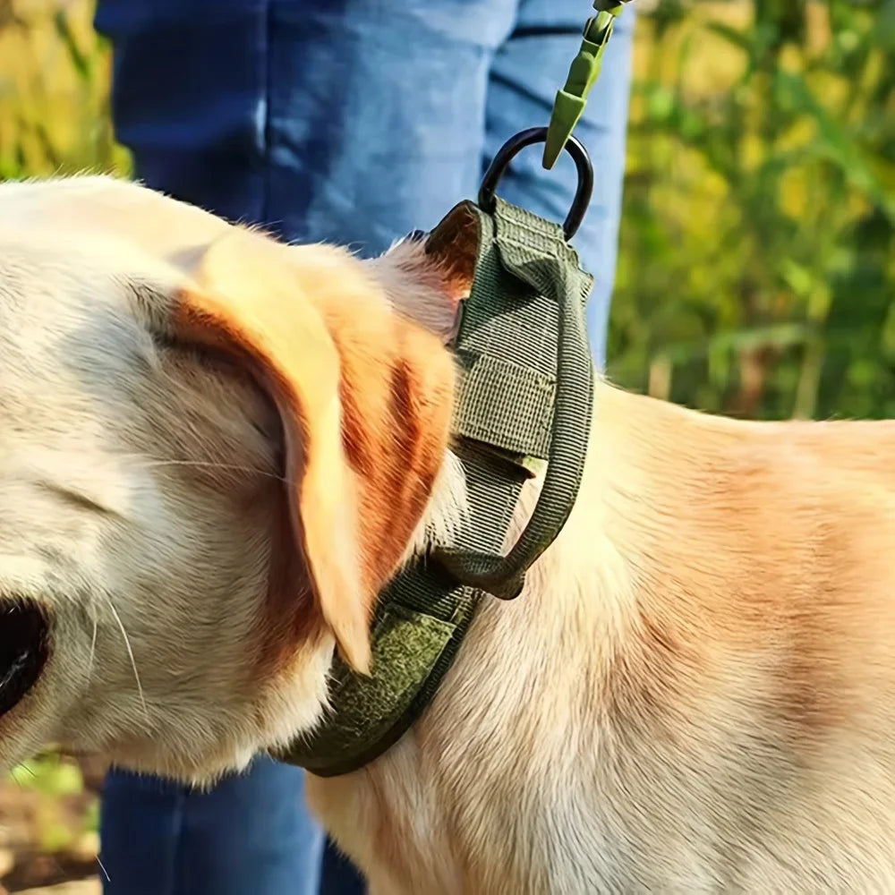 PETRAVEL Adjustable Dog Harness & Collar Set