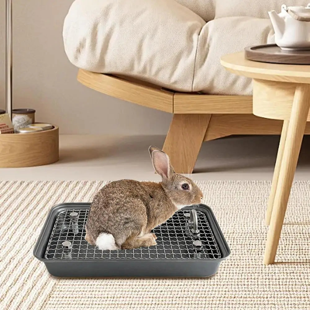 Stainless Steel Rabbit Litter Pan with Removable Grate