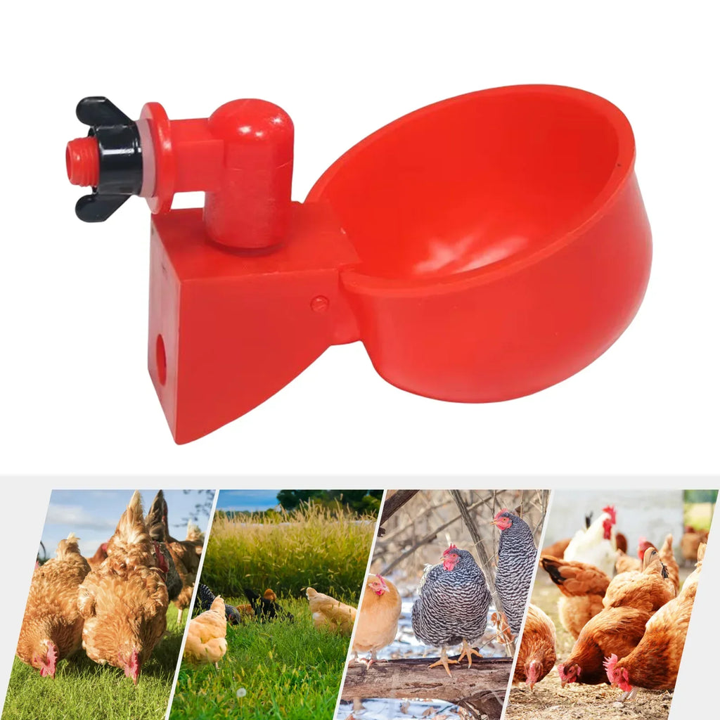 Automatic Poultry Drinking Cup for Chickens & Ducks
