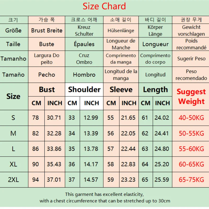 Women's Slim V-Neck Knit Sweater