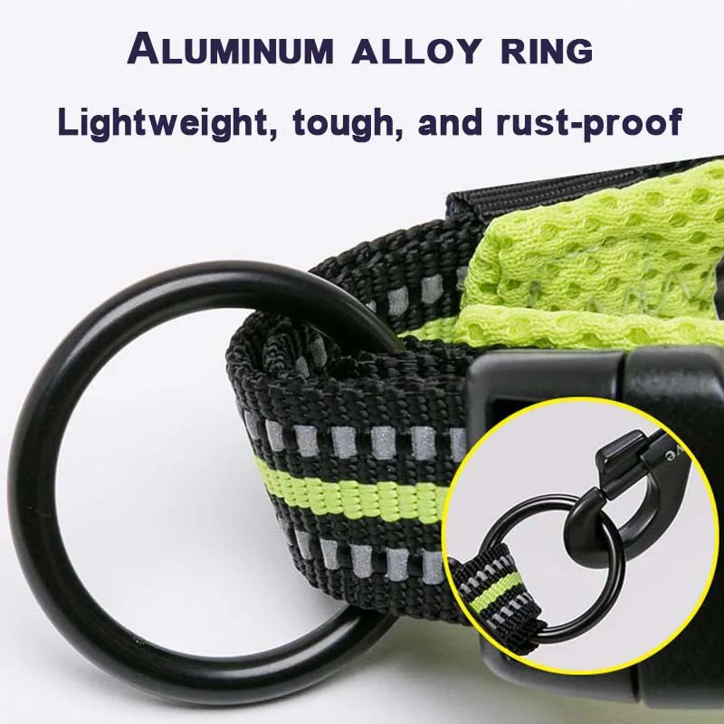 Winhyepet Padded Nylon Dog Collar