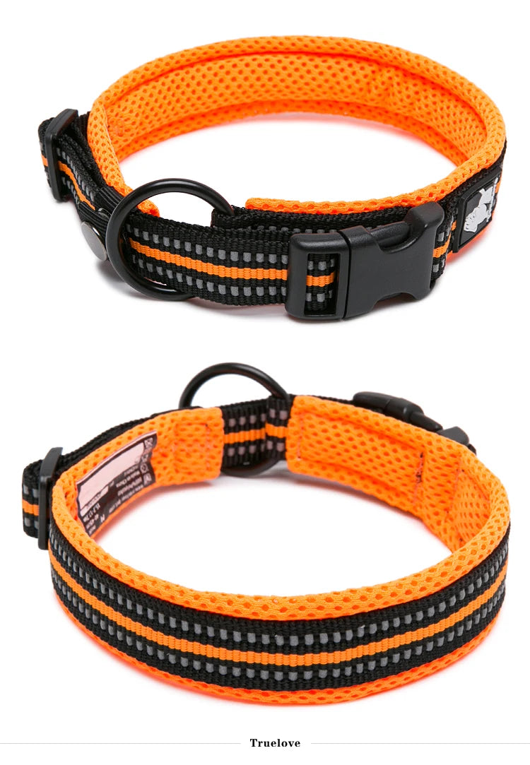 Winhyepet Padded Nylon Dog Collar