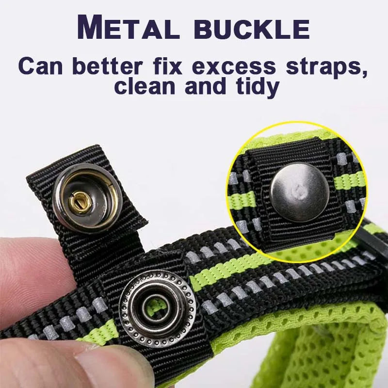Winhyepet Padded Nylon Dog Collar