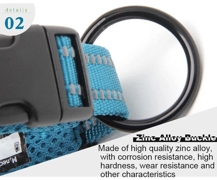 Winhyepet Padded Nylon Dog Collar