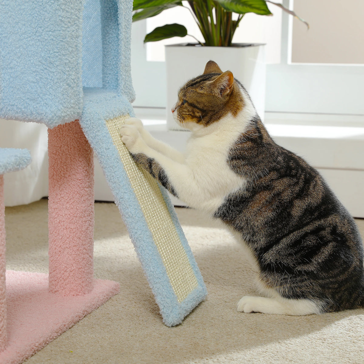 120cm Flower Cat Tree with Condo & Scratching Posts