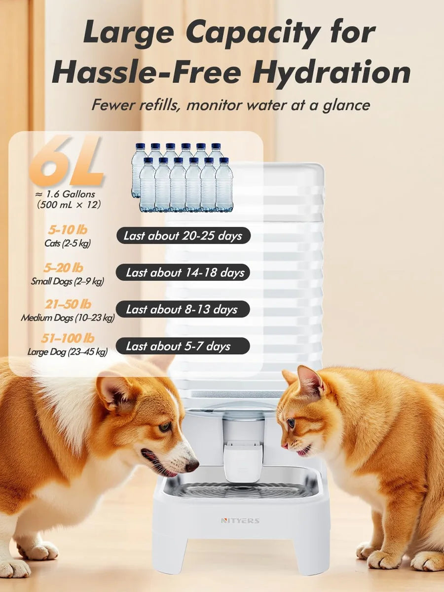 NITYERS 6L Gravity Pet Water Dispenser