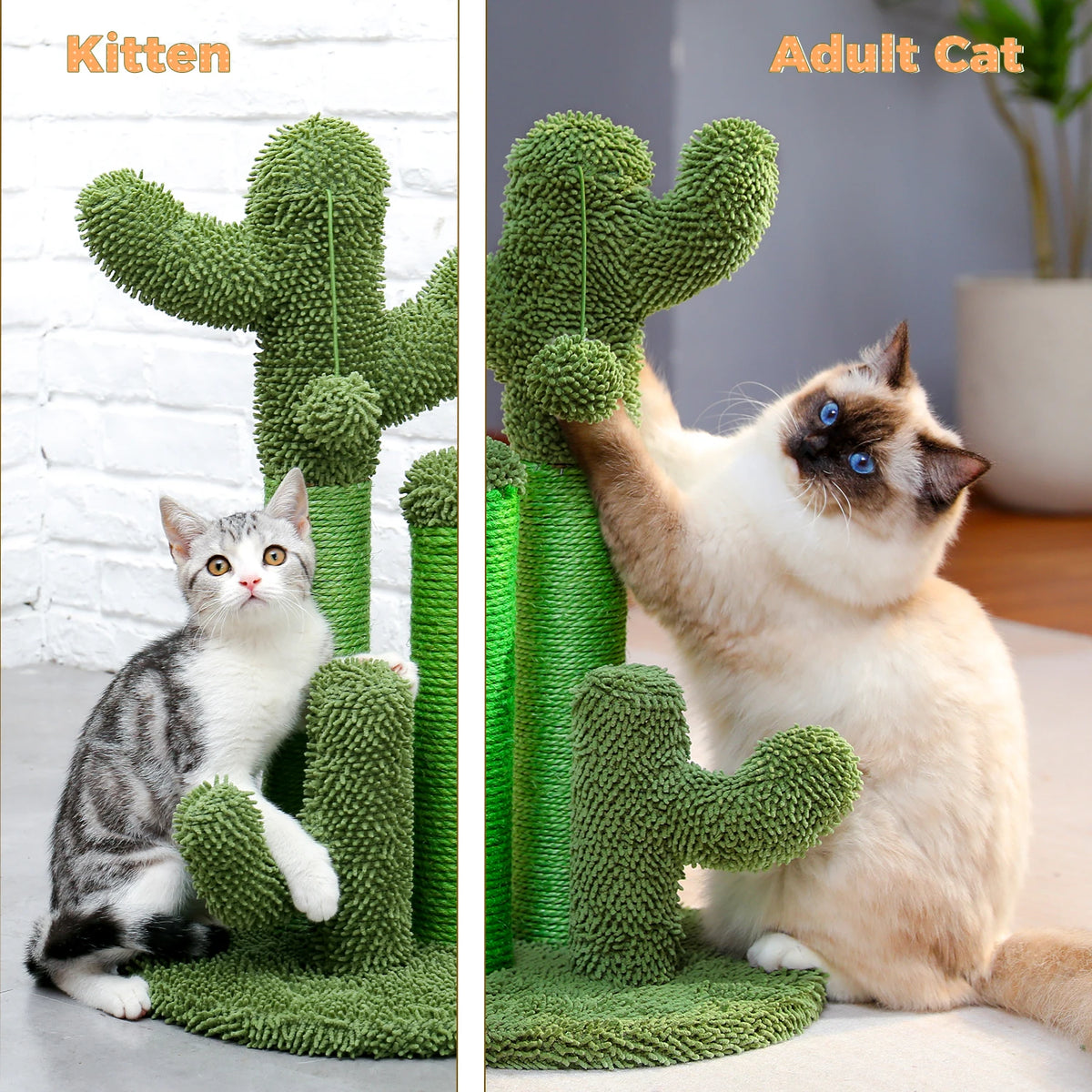 Cactus Cat Scratching Post with Three Poles
